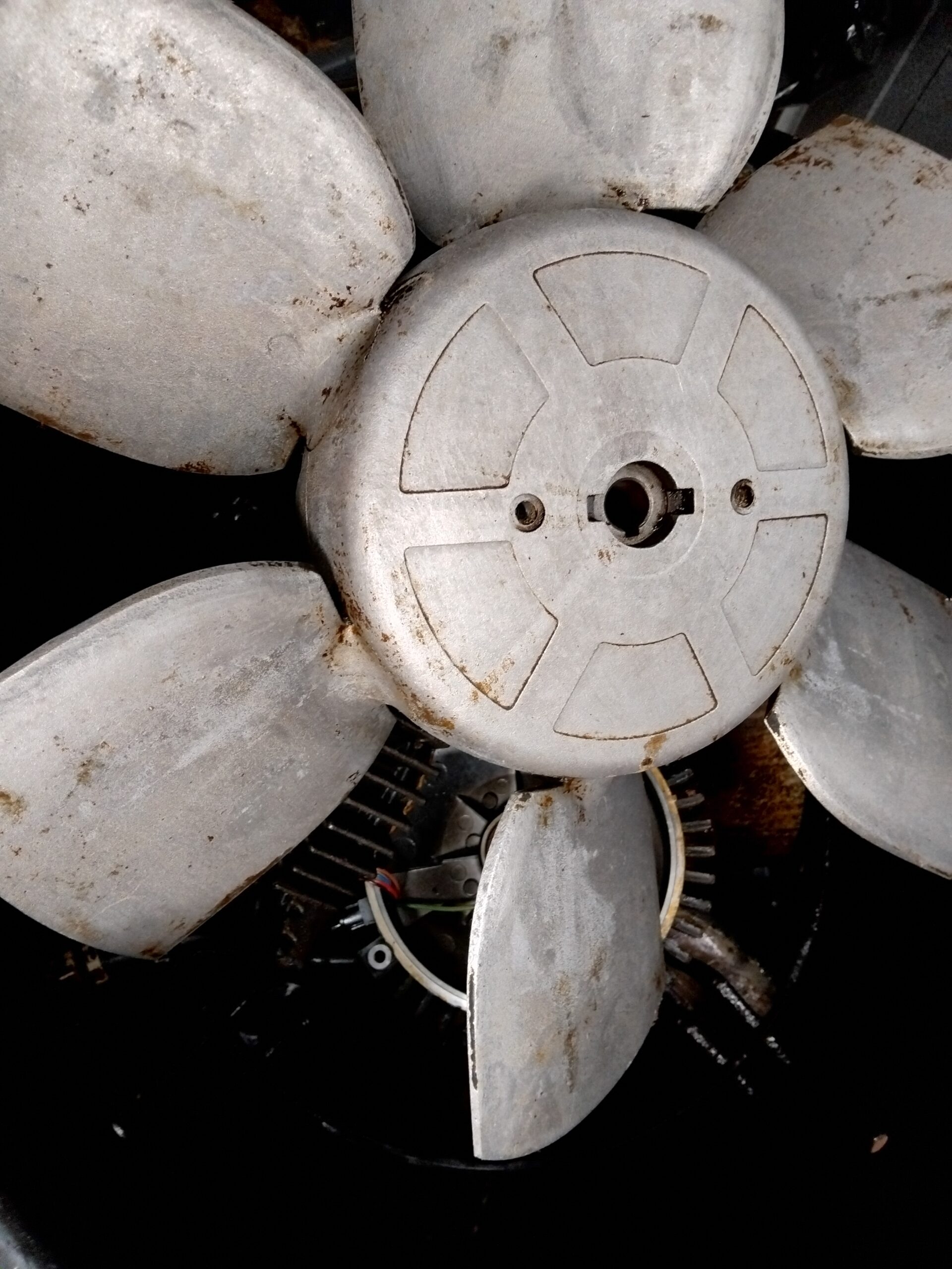 Extractor fan impeller